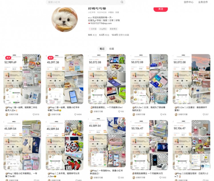 如何半年做一个月入2万的小红书账号