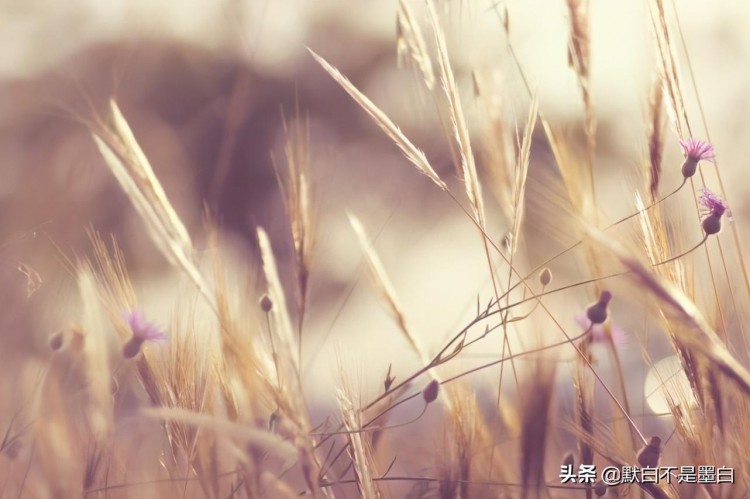 微信式的爱情：见面好说分手，一段感情才能真正结束